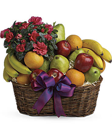 HEALTH NUT BASKET
