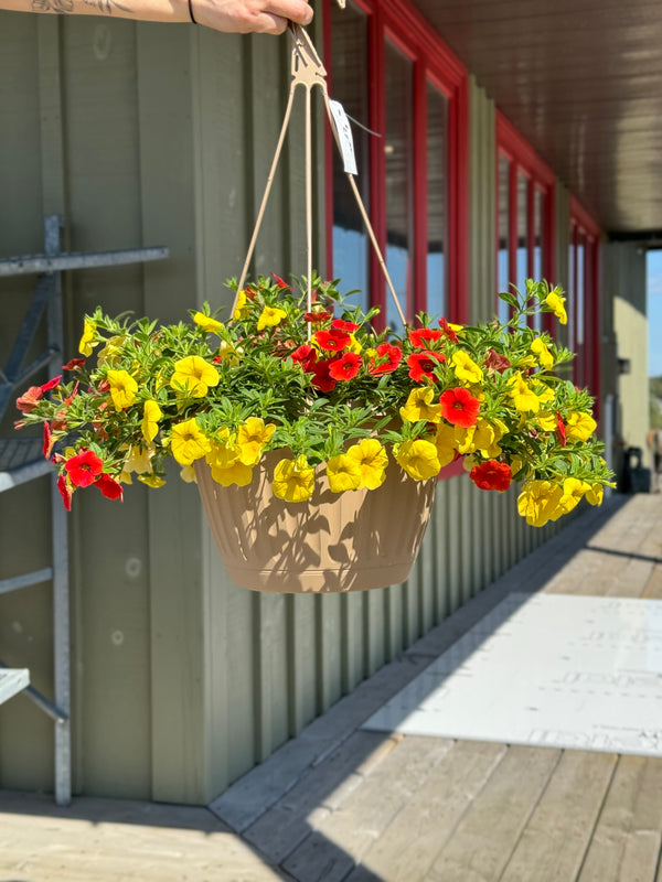 OUTDOOR HANGING BASKET - SUN