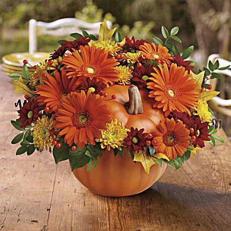 COUNTRY PUMPKIN