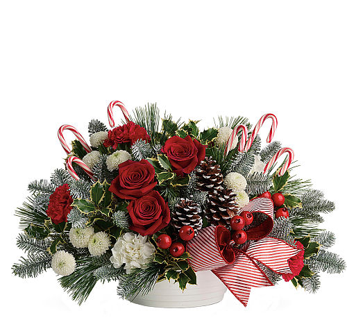 JOLLY CANDY CANE